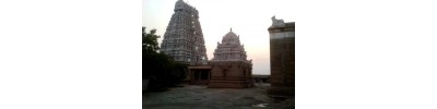 226. திருஅறையணி நல்லூர்